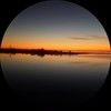 classyflea